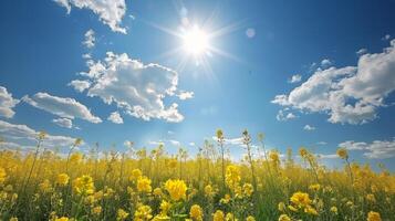 AI generated Field of Yellow Flowers Under Blue Sky photo