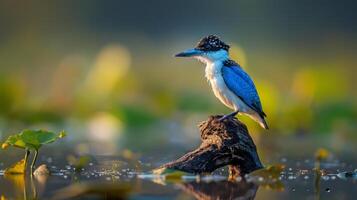 AI generated Bird Perched on Log in Water photo