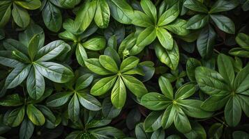 AI generated Close Up of Green Leafy Plant photo