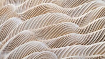 AI generated Hyper zoom into the texture of a seashell's ridges. Generative AI photo