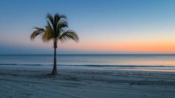 AI generated Palm Tree on Beach at Sunset photo