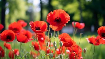 AI generated Vibrant red poppies swaying. Generative AI photo