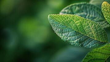 ai generado cerca arriba de verde hoja en planta foto