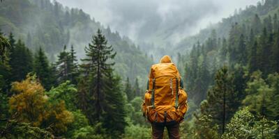 ai generado persona con mochila en pie a montaña foto