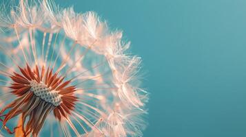 AI generated Dandelion Blowing in Wind photo