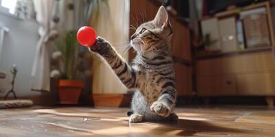 ai generado gato corriendo hacia naranja pelota foto