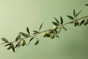 ai generado aceitunas con verde hojas en un rama foto