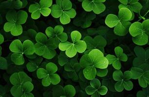 AI generated Shamrock leaves, with their vibrant green hue and distinctive tri-lobed shape, create a lush and lively background photo