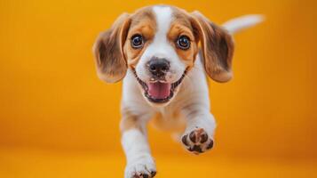 AI generated Puppy Jumping Up In Air photo