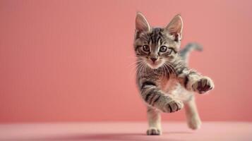AI generated Small Kitten Running on Pink Surface photo