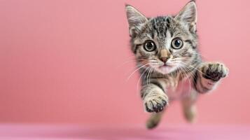 AI generated Small Kitten Running on Pink Surface photo