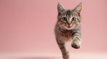 ai generado pequeño gatito corriendo en rosado superficie foto