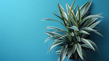 AI generated Potted Plant Against Blue Wall photo