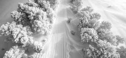 AI generated an aerial view of a frozen covered road with trees photo