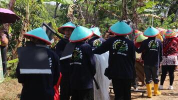 ambarawa, agosto 17 2023. indonesio agricultores vestir sombreros y traer banderas a el indonesio independencia día carnaval. foto