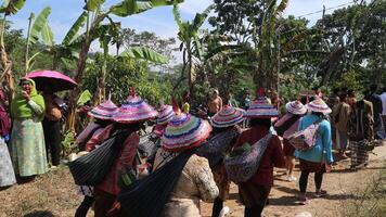 ambarawa, agosto 17 2023. indonesio agricultores vestir sombreros y traer banderas a el indonesio independencia día carnaval. foto