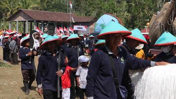 ambarawa, agosto 17 2023. indonesio agricultores vestir sombreros y traer banderas a el indonesio independencia día carnaval. foto