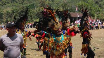 regir tradicional danza desde Indonesia a el indonesio independencia día carnaval evento. foto