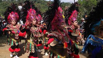 regir tradicional danza desde Indonesia a el indonesio independencia día carnaval evento. foto