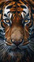 AI generated Close Up of a Tigers Face photo