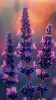 AI generated Close Up of Lavender Flowers photo