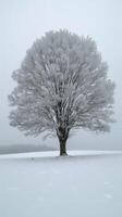 ai generado solitario árbol en pie en Nevado campo foto