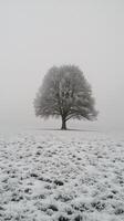 ai generado solitario árbol en pie en Nevado campo foto