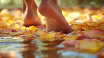 Persons Feet Submerged in Water in Close-up Shot photo