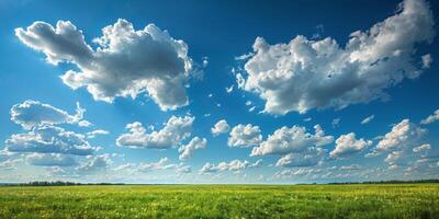 lozano verde césped campo debajo azul cielo foto