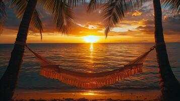 Hammock Hanging Between Two Palm Trees on a Beach photo