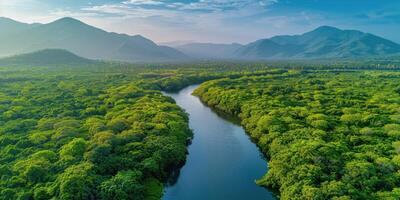 River Flowing Through Lush Green Forest photo