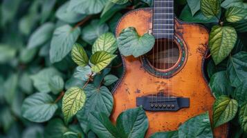 Small Guitar in Lush Green Field photo
