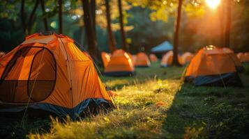 Row of Tents on Dry Grass Field photo