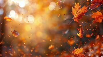 Swirling Leaves in the Air photo