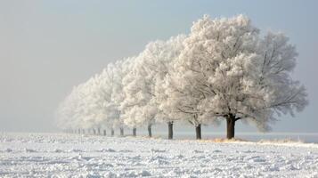 nieve cubierto campo con arboles en antecedentes foto