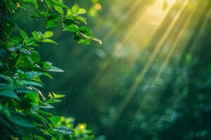 AI generated Vibrant green canopy with rays of sun creating a bokeh effect. photo