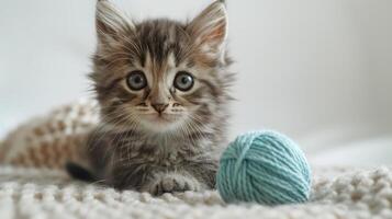 Kitten Playing With Yarn Ball photo