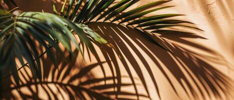 AI generated The interplay of light and shadow from tropical palm leaves creates an artistic pattern on a warm, textured wall photo