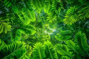 AI generated An upward view beneath a dense tropical forest, with the sun casting light on the rich greens and creating a dynamic contrast with the sky photo