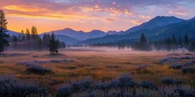 ai generado el temprano amanecer ligero fundición calentar colores terminado un prado con pastos y un amable niebla creciente foto