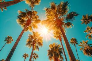 AI generated The sun shining through the canopy of tall, lush palm trees photo