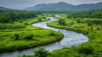 río fluido mediante lozano verde bosque foto