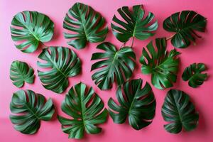 AI generated Vibrant green Monstera leaves arranged on a pastel pink background, flat lay composition photo