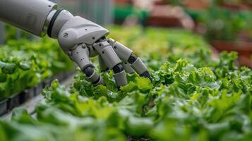 Robotic Hand Touching Green Plant in Greenhouse photo