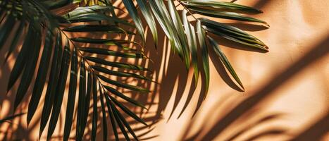 AI generated The interplay of light and shadow from tropical palm leaves creates an artistic pattern on a warm, textured wall photo