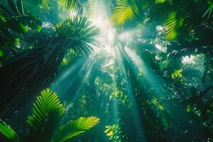 AI generated An upward view beneath a dense tropical forest, with the sun casting light on the rich greens and creating a dynamic contrast with the sky photo