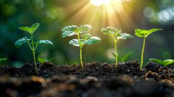 AI generated Small Green Plant Sprouting From the Ground photo