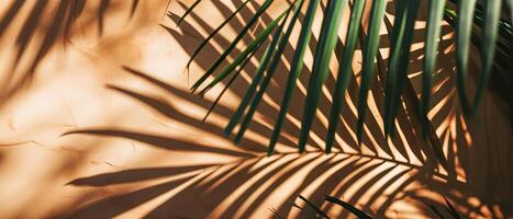 AI generated The interplay of light and shadow from tropical palm leaves creates an artistic pattern on a warm, textured wall photo