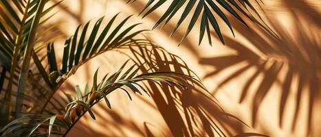 AI generated The interplay of light and shadow from tropical palm leaves creates an artistic pattern on a warm, textured wall photo