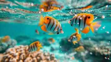 ai generado un grupo de pescado nadando en el Oceano foto